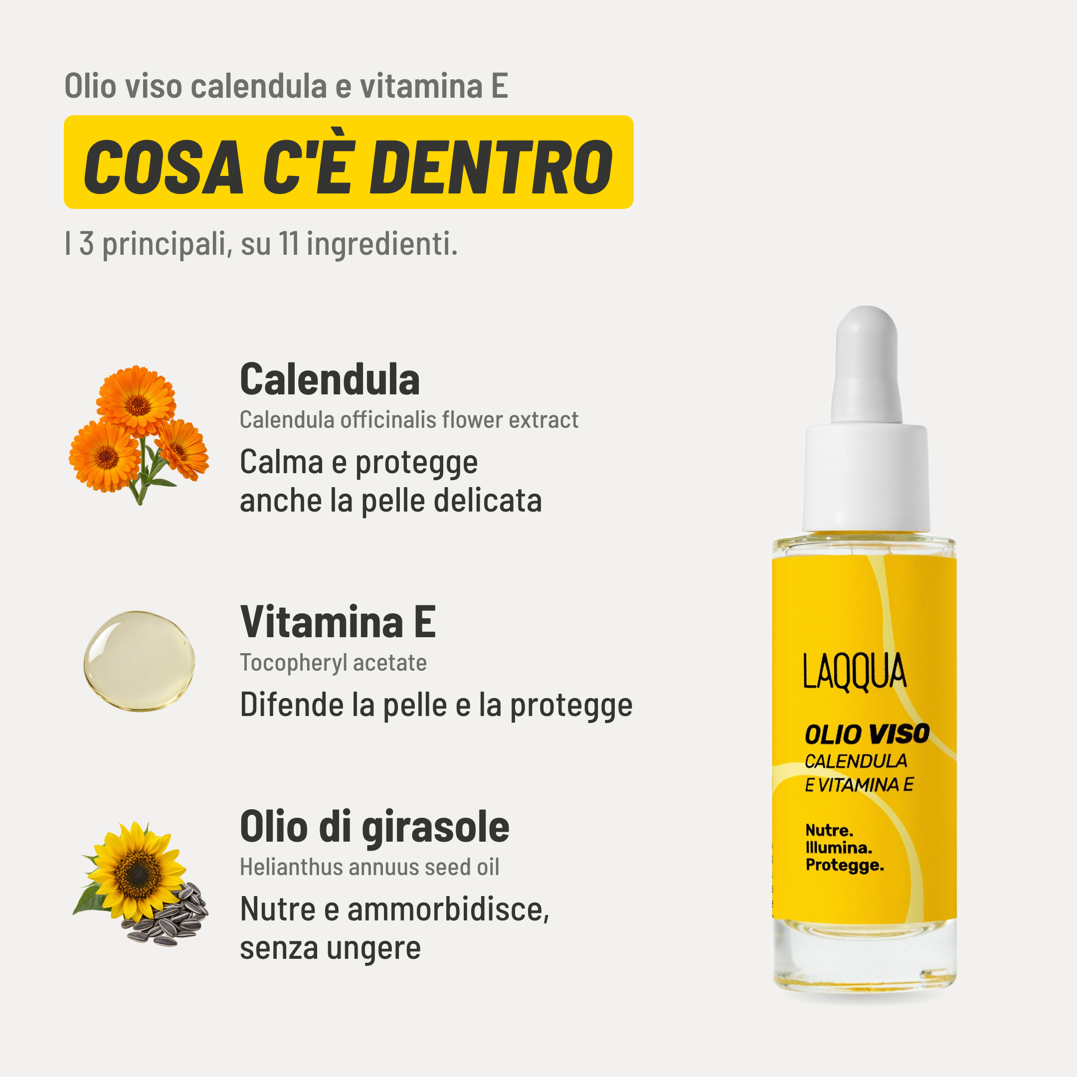 Olio viso calendula e vitamina E, cosa c'è dentro. I 3 principali, su 11 ingredienti. Calendula (Calendula officinalis flower extract): calma e protegge anche la pelle delicata. Vitamina E (Tocopheryl acetate): difende la pelle e la protegge. Olio di girasole (Helianthus annuus seed oil): nutre e ammorbidisce, senza ungere.
