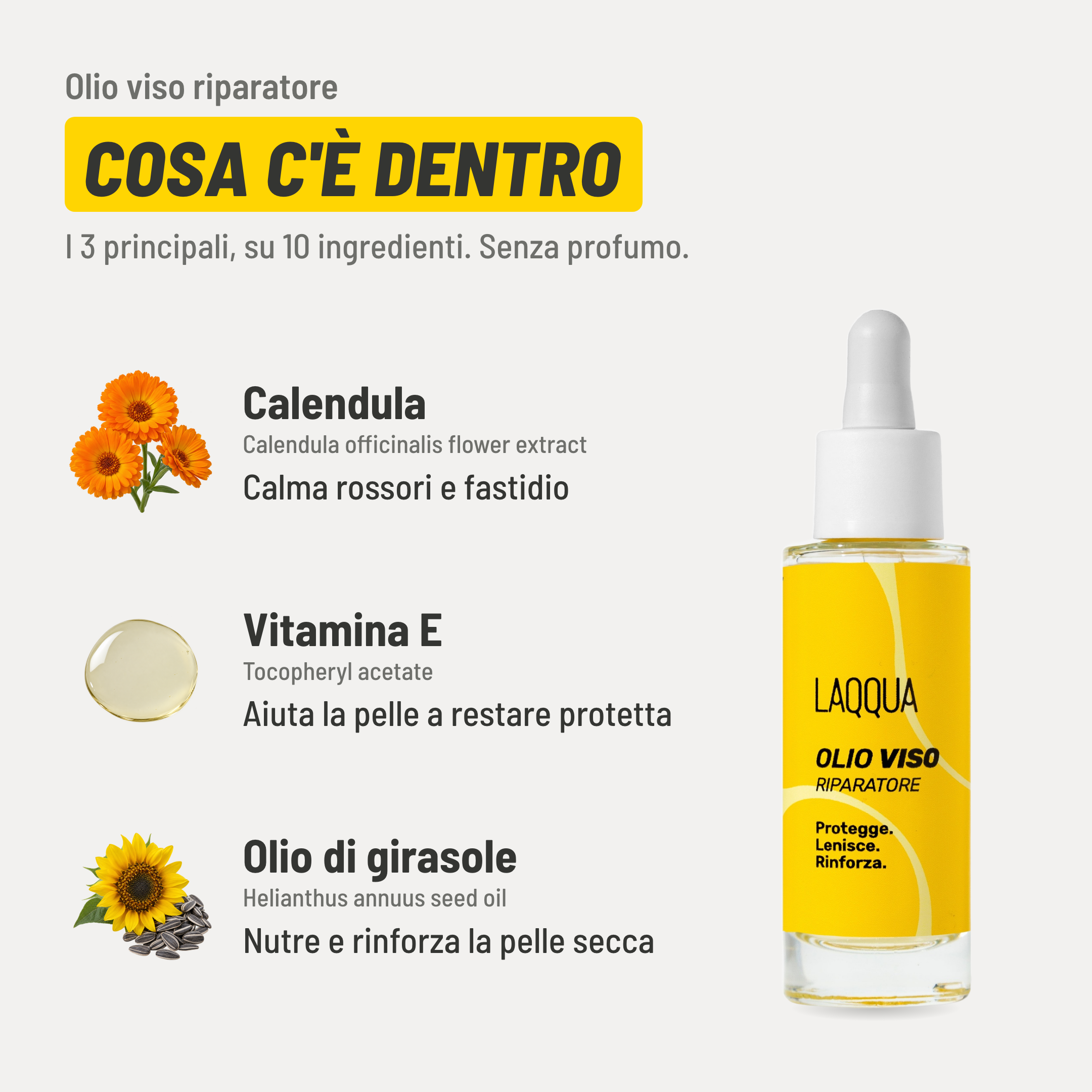 Olio viso riparatore, cosa c'è dentro. I 3 principali, su 10 ingredienti. Senza profumo. Calendula (Calendula officinalis flower extract): calma rossori e fastidio. Vitamina E (Tocopheryl acetate): aiuta la pelle a restare protetta. Olio di girasole (Helianthus annuus seed oil): nutre e rinforza la pelle secca.